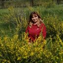 ���������� ���������� �����, ���� ������� �������, 56 ���, ������������ ��� c�������� ���������, ���������