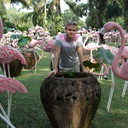  -,   , 48 ,   ,   , c 