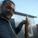  -,   , 38 ,   ,   , c 