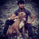 ���������� ������, ���� ������� �����, 29 ���, ������������ ��� ������, ����� � ���������