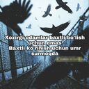 ���������� �����������, ���� ������� ����, 27 ���, ������������ ��� ������, ����� � ���������