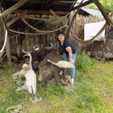  ,   , 40 ,     , c 