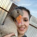 ���������� ������, ���� ������� �����, 27 ���, ������������ 