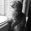 ���������� ������, ���� ������� ISA, 29 ���, ������������ ��� ������, ����� � ���������, c�������� ���������