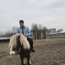 ���������� �������, ���� ������� �������, 29 ���, ������������ ��� ������, ����� � ���������