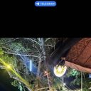  ,   , 62 ,   ,   , c 