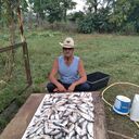 ���������� �������, ���� ������� ��������, 67 ���, ������������ ��� c�������� ���������