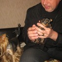  ,   , 50 ,   ,   , c 