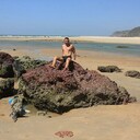 ���������� ������, ���� ������� ������, 40 ���, ������������ ��� ������, ����� � ���������, c�������� ���������