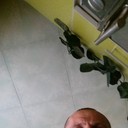  ,   , 48 ,   