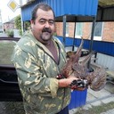 ���������� ������-��-����, ���� ������� ����, 50 ���, ������������ ��� ����� � ���������, c�������� ���������