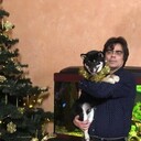  ,   Vlad, 52 ,   ,   