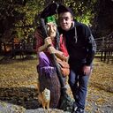  ,   , 33 ,   ,   