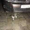  ,   , 66 ,  
