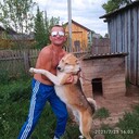 ���������� �������, ���� ������� ������, 38 ���, ������������ ��� c�������� ���������