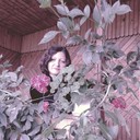 ���������� ���������, ���� ������� �����, 45 ���, ������������ ��� ������, ����� � ���������, c�������� ���������