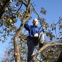 ���������� ��������, ���� ������� ������, 46 ���, ������������ ��� ������