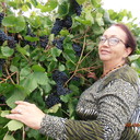  ,   , 72 ,  