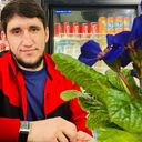 ���������� ��������, ���� ������� ����, 27 ���, ������������ ��� ������, ����� � ���������