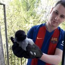 ���������� �����-���������, ���� ������� �������, 37 ���, ������������ ��� ������, ����� � ���������, c�������� ���������