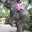  ,   Sergei, 57 ,   ,   , c 
