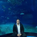 ���������� ������, ���� ������� ������, 43 ����, ������������ ��� ������, ����� � ���������, c�������� ���������