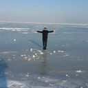 ���������� ����������, ���� ������� ��������, 43 ����, ������������ ��� ������, ����� � ���������