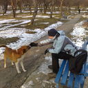 ���������� ��������, ���� ������� �������, 45 ���, ������������ ��� ������, ����� � ���������, c�������� ���������