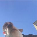 ���������� ����, ���� ������� Artur, 29 ���, ������������ ��� ������, ����� � ���������, c�������� ���������