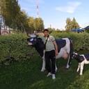  ,   , 48 ,   ,   , c , 