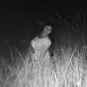 ���������� ���������, ���� ������� �������, 41 ���, ������������ ��� ������, ����� � ���������