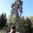 ���������� �����-���������, ���� ������� �������, 46 ���, ������������ ��� ������, ����� � ���������, c�������� ���������