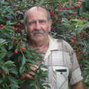  ,   , 74 ,   ,   , c 