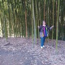 ���������� ������������, ���� ������� ������, 58 ���, ������������ ��� c�������� ���������