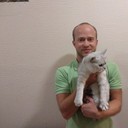 ���������� ������, ���� ������� Lex, 34 ����, ������������ ��� ������, ����� � ���������, c�������� ���������