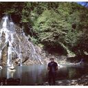  ,   ToGi, 36 ,     , c 