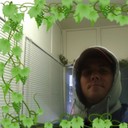 ���������� �����, ���� ������� ������, 37 ���, ������������ ��� ������, ����� � ���������, c�������� ���������