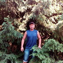  -,   , 44 ,  