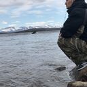 ���������� ��������, ���� ������� ��������, 38 ���, ������������ ��� ������, ����� � ���������, c�������� ���������, ���������