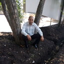  ,   , 50 ,   ,   