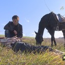 ���������� �����������, ���� ������� �����, 42 ����, ������������ ��� ������, ����� � ���������, c�������� ���������