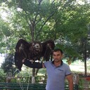 ���������� �������, ���� ������� ������, 39 ���, ������������ ��� ������, ����� � ���������, c�������� ���������