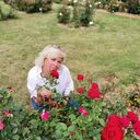 ���������� ���������, ���� ������� ���������, 50 ���, ������������ ��� c�������� ���������