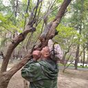 ���������� ������, ���� ������� ����������, 59 ���, ������������ ��� ������, ����� � ���������, c�������� ���������