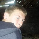 ���������� ����, ���� ������� ����, 29 ���, ������������ ��� ������, ����� � ���������, c�������� ���������, ���������