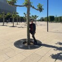 ���������� ���������, ���� ������� �����, 53 ����, ������������ ��� ������, ����� � ���������, c�������� ���������, ���������