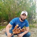 ���������� ������, ���� ������� �����, 31 ���, ������������ ��� ������, ����� � ���������