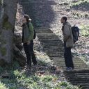 ���������� �������, ���� ������� Saladini, 37 ���, ������������ ��� ������