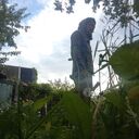 ���������� �������, ���� ������� �����, 31 ���, ������������ ��� ������, c�������� ���������