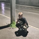 ���������� ������-��-����, ���� ����� �������, 22 ����, ������������ ��� ������, ����� � ���������, c�������� ���������, ���������